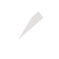 廊坊临时保镖服务